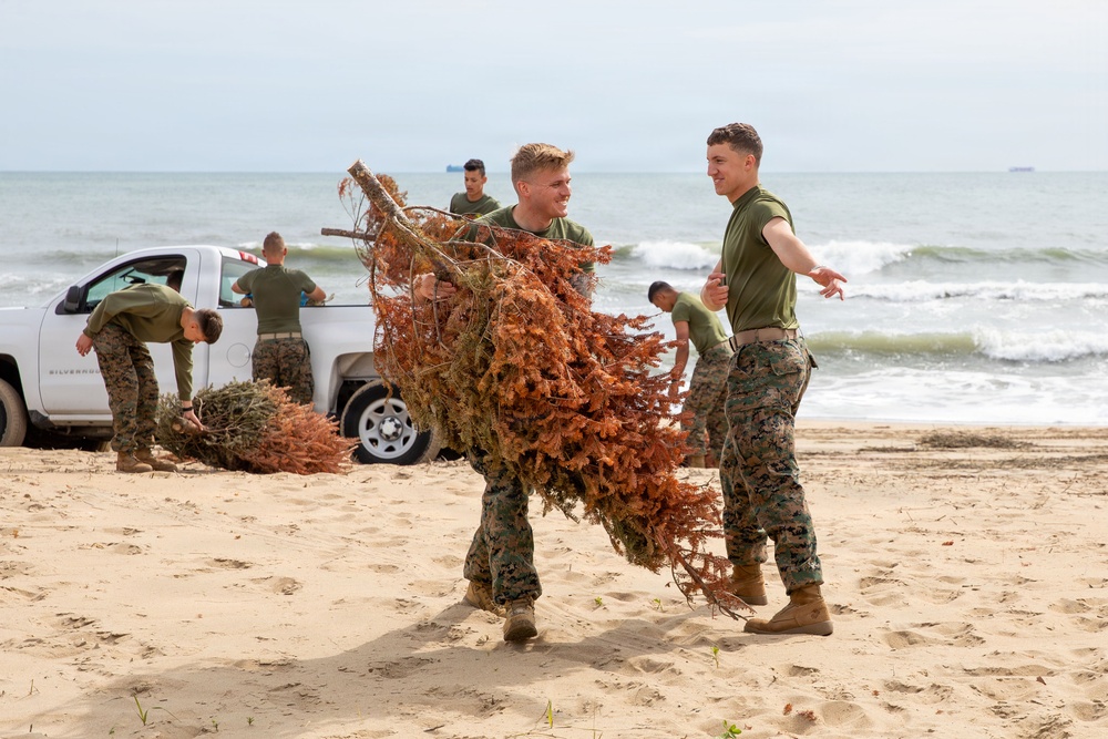 Sailors, Marines and civilians across Hampton Roads help restore Dam Neck Annex coastline