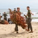 Sailors, Marines and civilians across Hampton Roads help restore Dam Neck Annex coastline