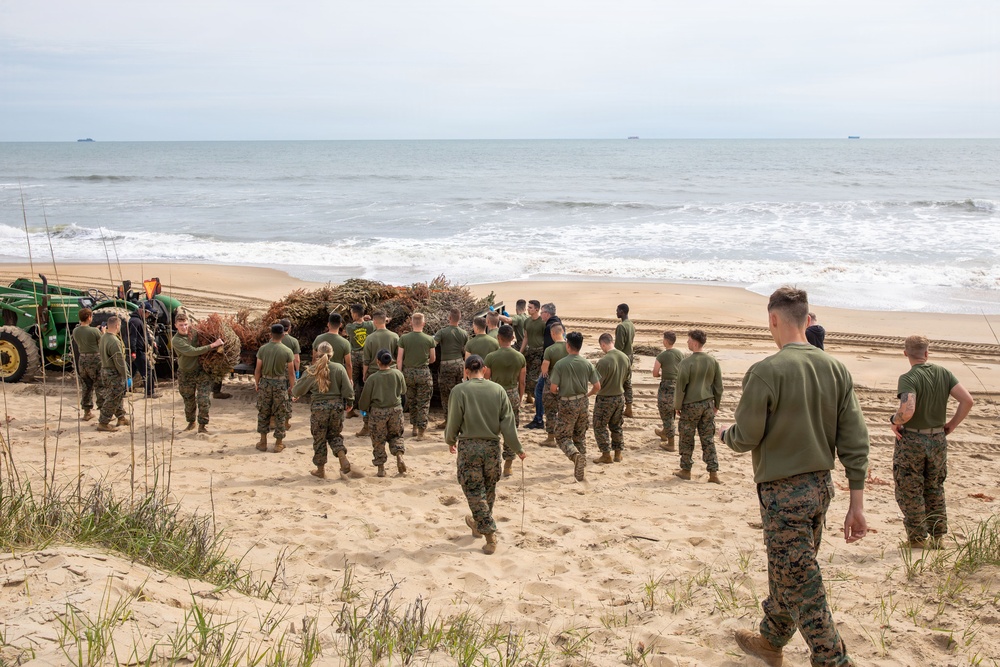 Sailors, Marines and civilians across Hampton Roads help restore Dam Neck Annex coastline