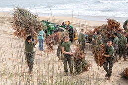Sailors, Marines and civilians across Hampton Roads help restore Dam Neck Annex coastline