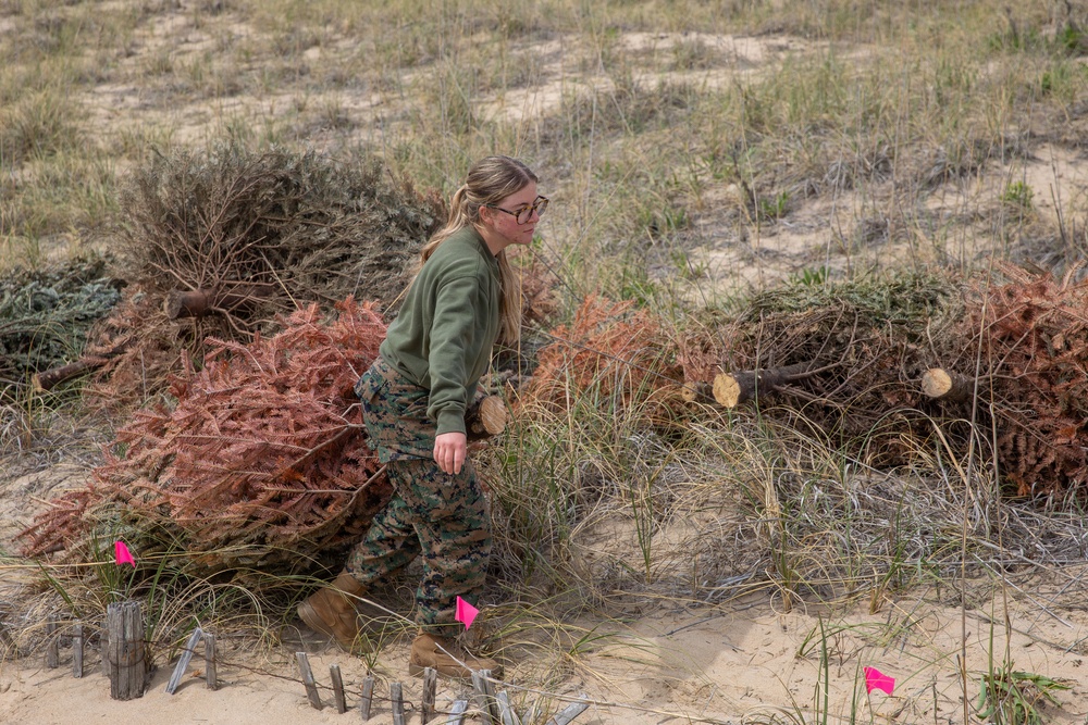 Sailors, Marines and civilians across Hampton Roads help restore Dam Neck Annex coastline