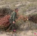 Sailors, Marines and civilians across Hampton Roads help restore Dam Neck Annex coastline