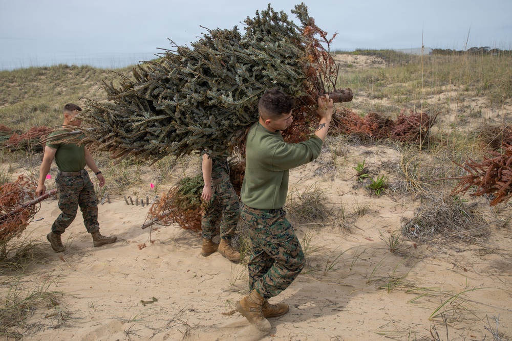 Sailors, Marines and civilians across Hampton Roads help restore Dam Neck Annex coastline
