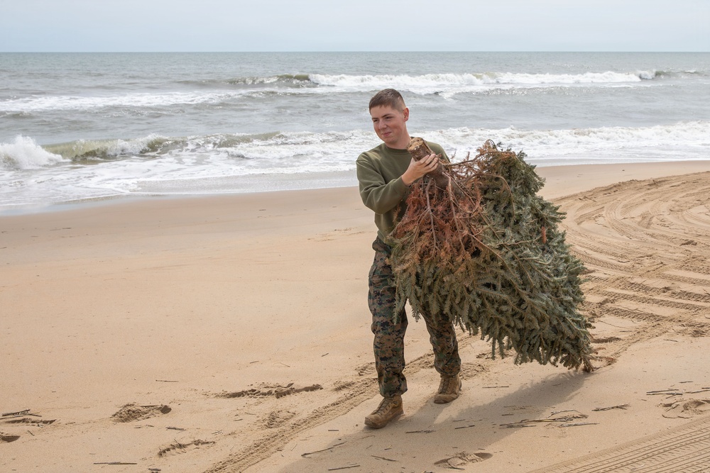 Sailors, Marines and civilians across Hampton Roads help restore Dam Neck Annex coastline