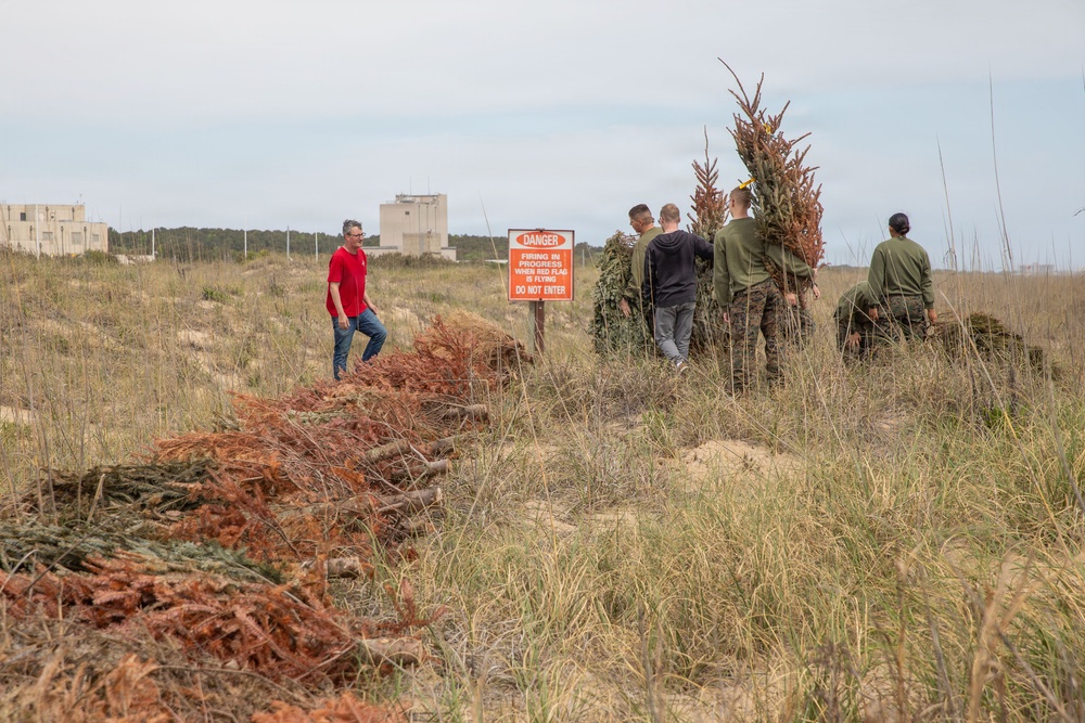 Sailors, Marines and civilians across Hampton Roads help restore Dam Neck Annex coastline