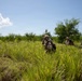 Task Force Secure Conducts CASEVAC Training with CH-47 Support at Guantanamo Bay