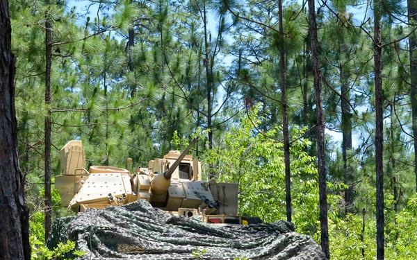 Mississippi Rifles Conduct Maneuver Training