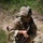 USAR Best Squad Competition - Downed Pilot