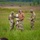 Indiana’s 76th Brigade train on Switchblade 600 at Camp Atterbury