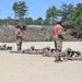 VIARNG Conducts Marksmanship Training at JB MDL