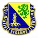 Dragon Soldiers stand ready to honor Chemical Corps heritage during regimental week