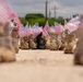 Soldiers Prepare Remembrance Memorial Display Honoring Fallen Service Members at Fort Hood