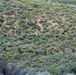 Idaho TACPs focus on shooting fundamentals