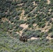 Idaho TACPs focus on shooting fundamentals