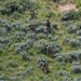Idaho TACPs focus on shooting fundamentals