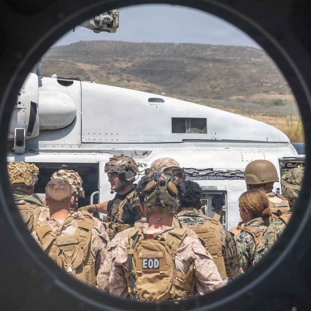 U.S. Marines with 2nd Bn., 5th Marines, conduct EOTG TRAP course