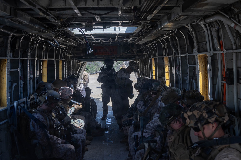 U.S. Marines with 2nd Bn., 5th Marines, conduct EOTG TRAP course