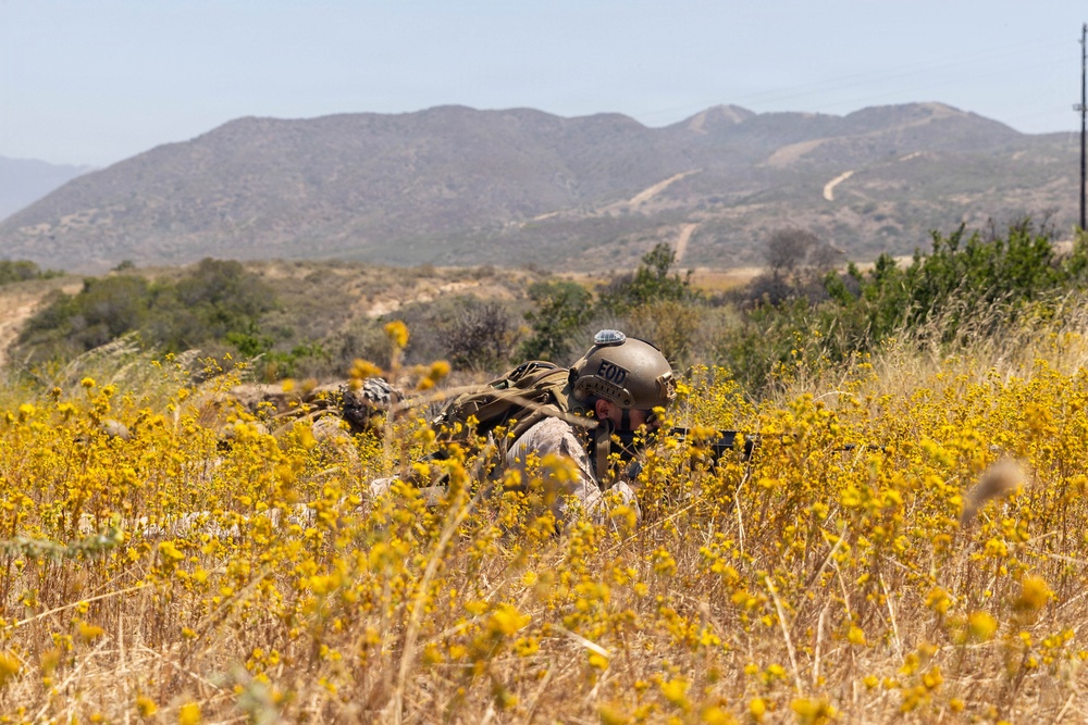 U.S. Marines with 2nd Bn., 5th Marines, conduct EOTG TRAP course