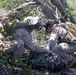 U.S. Marines with 2nd Bn., 5th Marines, conduct EOTG TRAP course