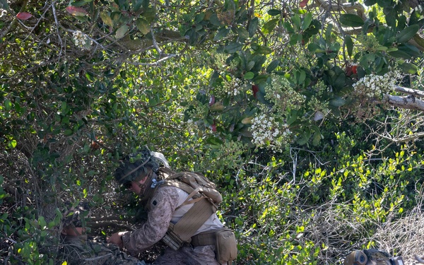 U.S. Marines with 2nd Bn., 5th Marines, conduct EOTG TRAP course