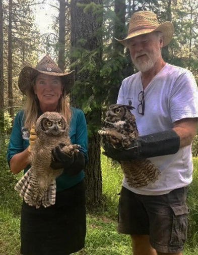 Libby Dam Hosts “Birds of Prey” May 31