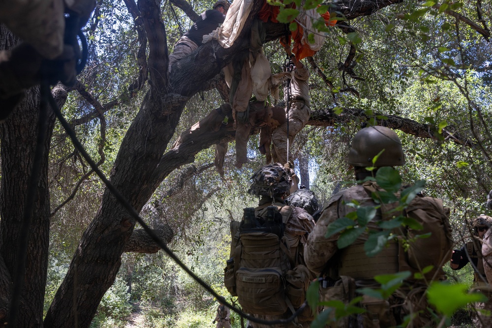 U.S. Marines with 2nd Bn., 5th Marines, conduct EOTG TRAP course