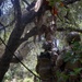 U.S. Marines with 2nd Bn., 5th Marines, conduct EOTG TRAP course