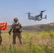 U.S. Marines with 2nd Bn., 5th Marines, conduct EOTG TRAP course