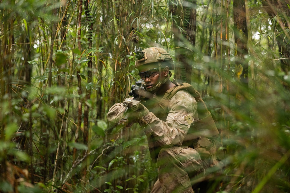 U.S. Marines with 12th LCT Participate in Survival Training at Jungle Warfare Training Center