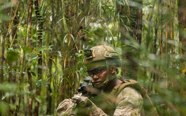 U.S. Marines with 12th LCT Participate in Survival Training at Jungle Warfare Training Center