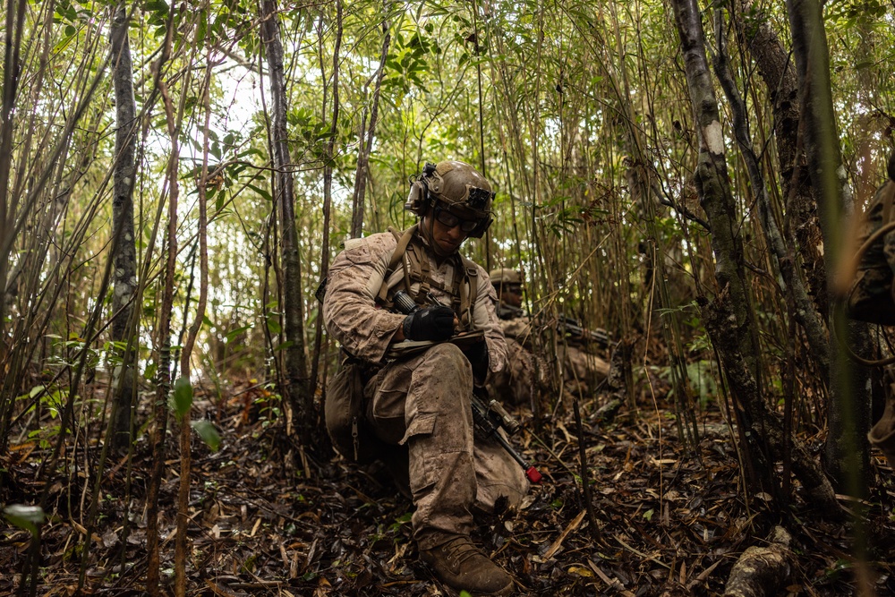 U.S. Marines with 12th LCT Participate in Survival Training at Jungle Warfare Training Center