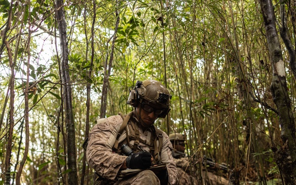 U.S. Marines with 12th LCT Participate in Survival Training at Jungle Warfare Training Center