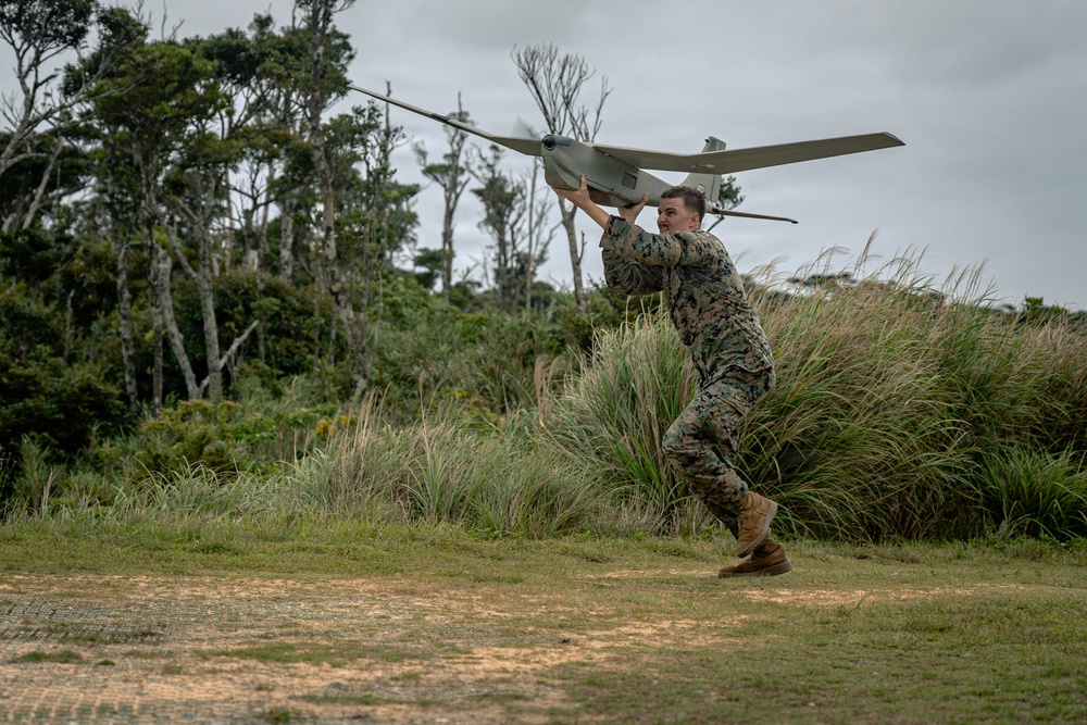 U.S. Marines Conduct Jungle Hunter Training