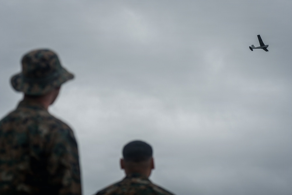 U.S. Marines Conduct Jungle Hunter Training