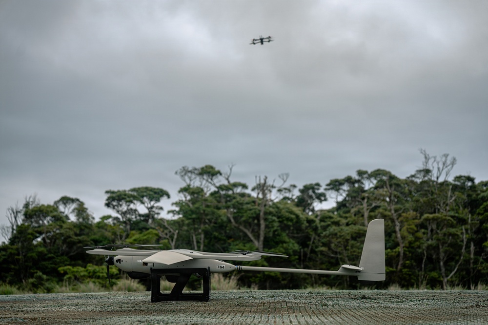U.S. Marines Conduct Jungle Hunter Training