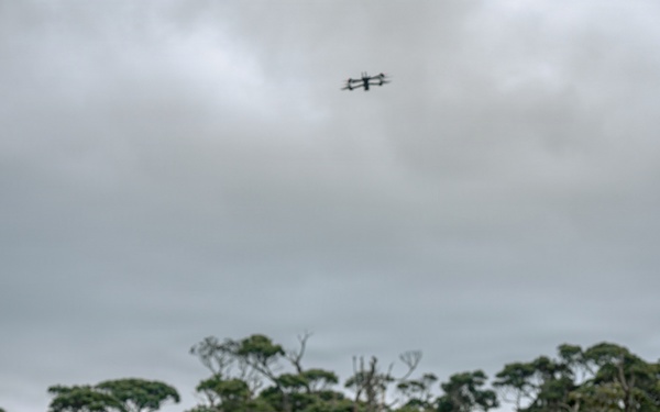 U.S. Marines Conduct Jungle Hunter Training