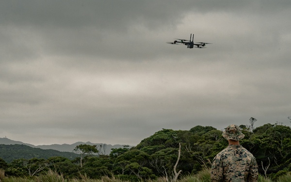 U.S. Marines Conduct Jungle Hunter Training