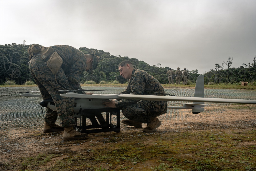 U.S. Marines Conduct Jungle Hunter Training
