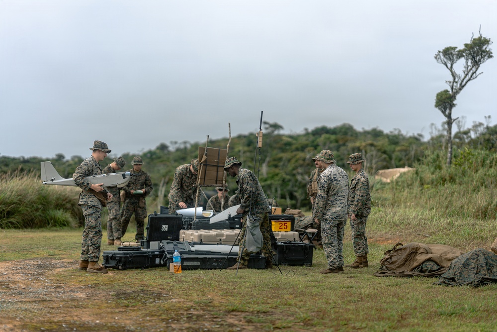 U.S. Marines Conduct Jungle Hunter Training