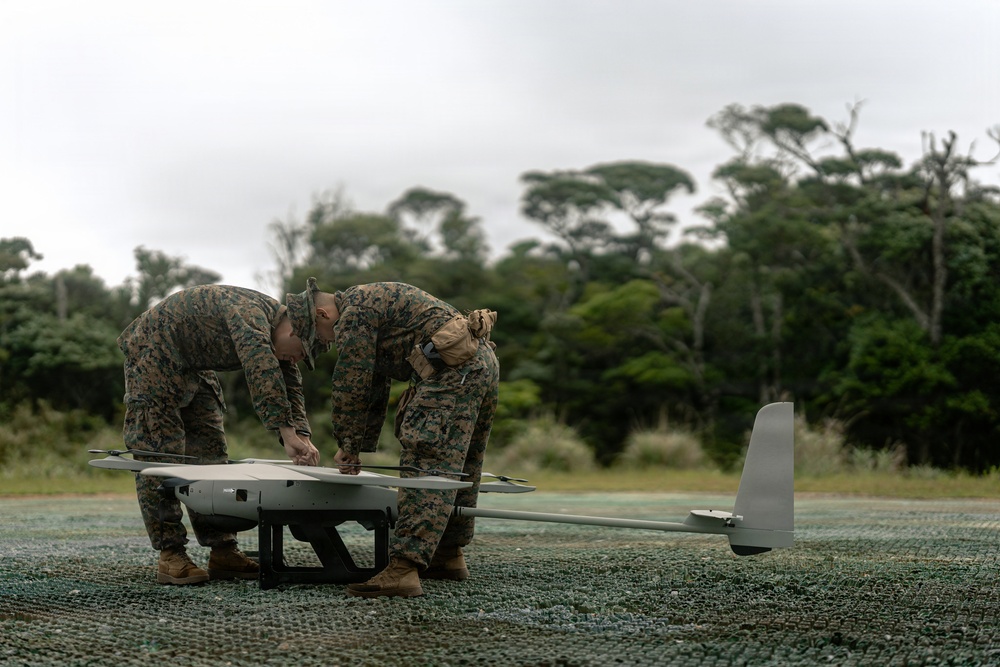 U.S. Marines Conduct Jungle Hunter Training