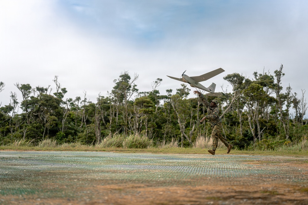 U.S. Marines Conduct Jungle Hunter Training