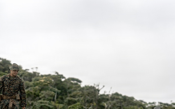 U.S. Marines Conduct Jungle Hunter Training