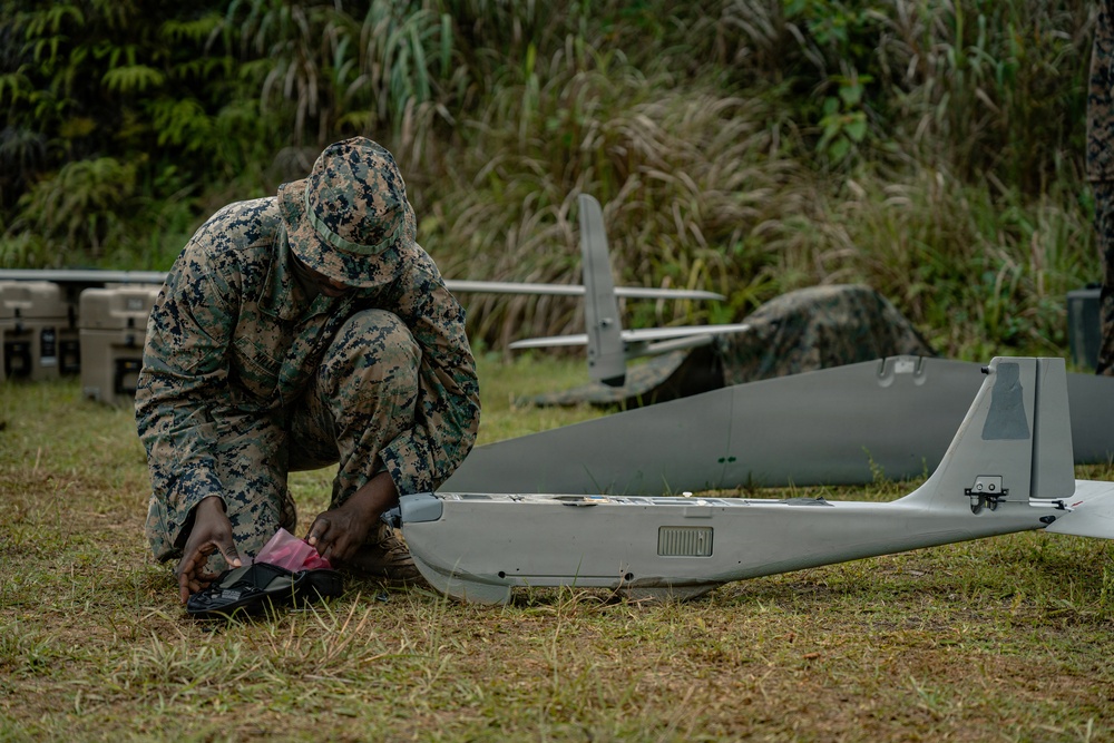 U.S. Marines Conduct Jungle Hunter Training