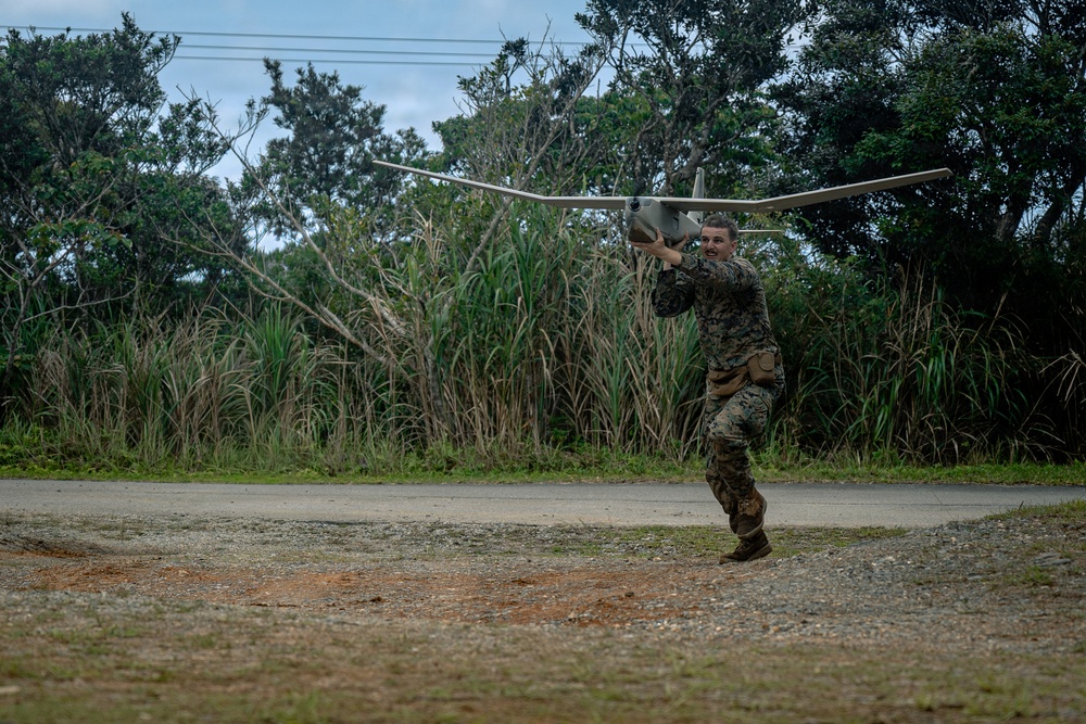 U.S. Marines Conduct Jungle Hunter Training