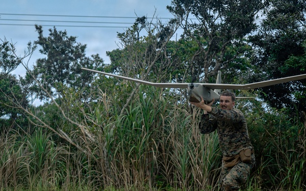 U.S. Marines Conduct Jungle Hunter Training