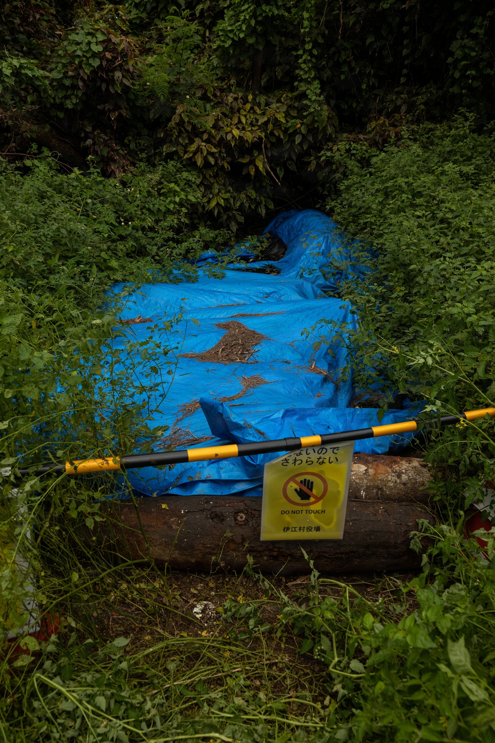 EOD Marines conduct an explosive disposal operation at Ie Shima