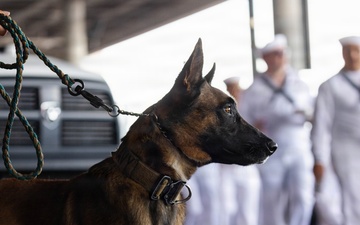 New Orleans Welcomes U.S. and International Service Members at a Pier-side Welcoming Event during Sail 250