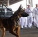 New Orleans Welcomes U.S. and International Service Members at a Pier-side Welcoming Event during Sail 250