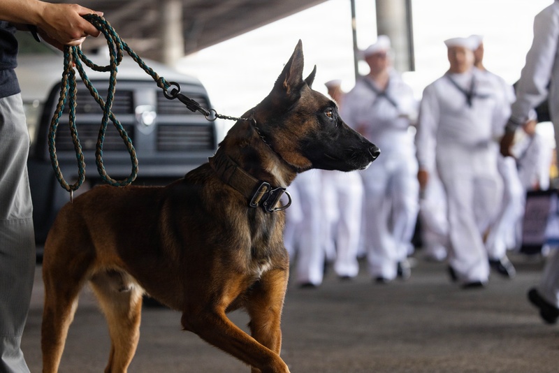New Orleans Welcomes U.S. and International Service Members at a Pier-side Welcoming Event during Sail 250