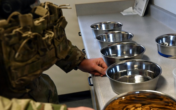 A Day in the Life of a Military Working Dog Team